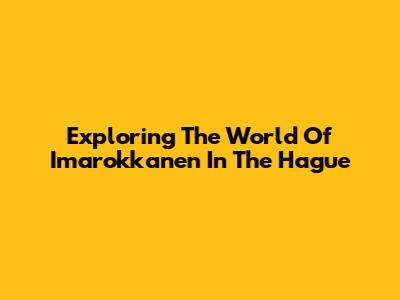 Exploring The World Of Imarokkanen In The Hague