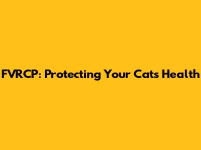 FVRCP: Protecting Your Cat's Health
