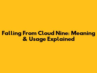 Falling From Cloud Nine: Meaning & Usage Explained