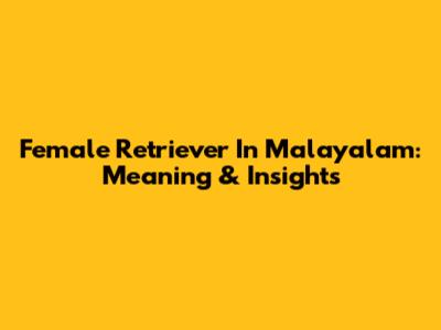 Female Retriever In Malayalam: Meaning & Insights