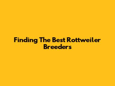 Finding The Best Rottweiler Breeders