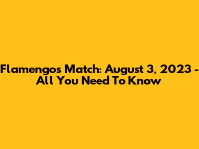 Flamengo's Match: August 3, 2023 - All You Need To Know