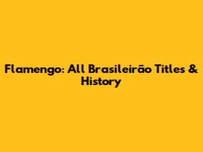 Flamengo: All Brasileirão Titles & History