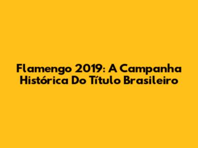Flamengo 2019: A Campanha Histórica Do Título Brasileiro