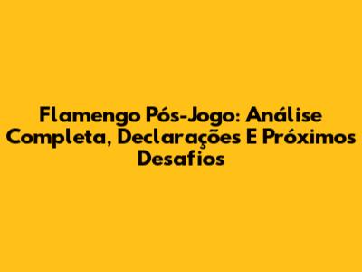 Flamengo Pós-Jogo: Análise Completa, Declarações E Próximos Desafios