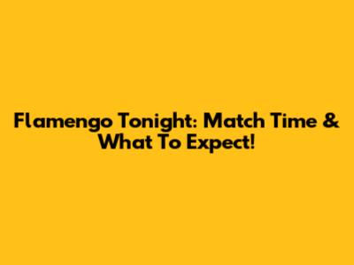 Flamengo Tonight: Match Time & What To Expect!