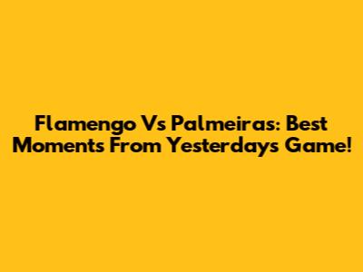 Flamengo Vs Palmeiras: Best Moments From Yesterday's Game!