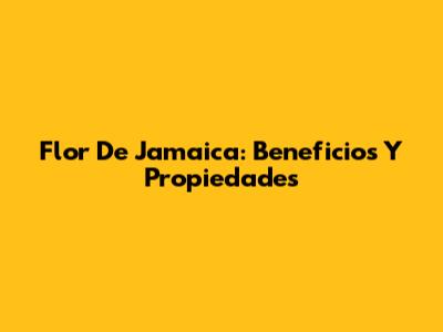 Flor De Jamaica: Beneficios Y Propiedades