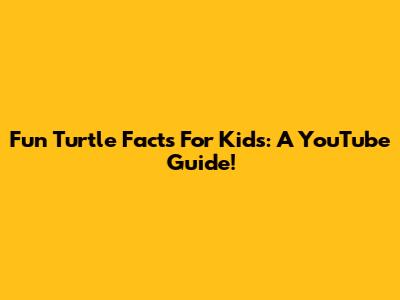 Fun Turtle Facts For Kids: A YouTube Guide!