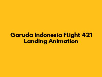 Garuda Indonesia Flight 421 Landing Animation