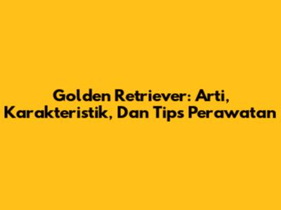 Golden Retriever: Arti, Karakteristik, Dan Tips Perawatan