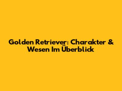 Golden Retriever: Charakter & Wesen Im Überblick