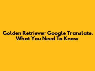 Golden Retriever Google Translate: What You Need To Know