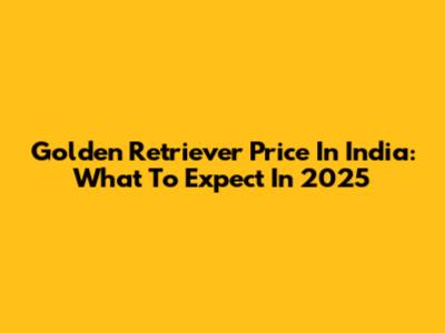Golden Retriever Price In India: What To Expect In 2025