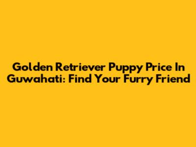 Golden Retriever Puppy Price In Guwahati: Find Your Furry Friend