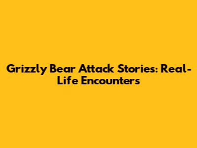 Grizzly Bear Attack Stories: Real-Life Encounters