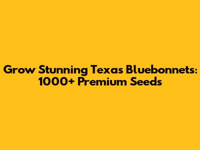 Grow Stunning Texas Bluebonnets: 1000+ Premium Seeds