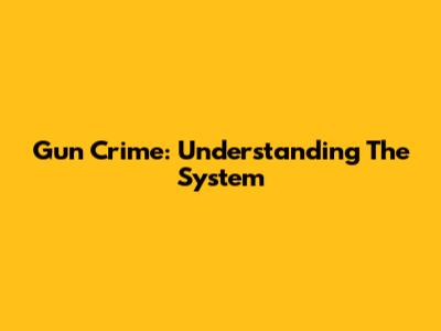 Gun Crime: Understanding The System