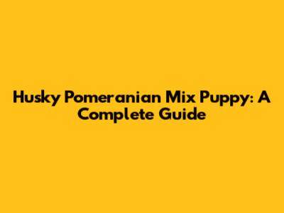 Husky Pomeranian Mix Puppy: A Complete Guide