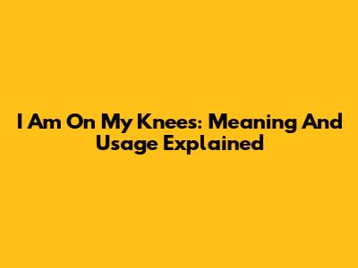 I Am On My Knees: Meaning And Usage Explained