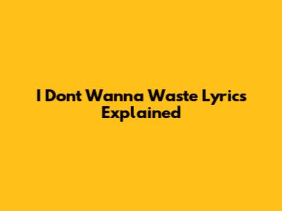 I Don't Wanna Waste Lyrics Explained