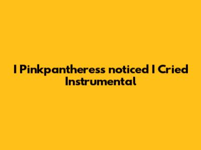 I Pinkpantheress "noticed I Cried" Instrumental