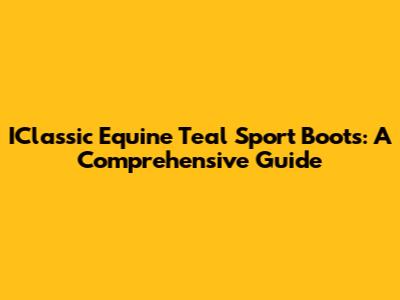 IClassic Equine Teal Sport Boots: A Comprehensive Guide