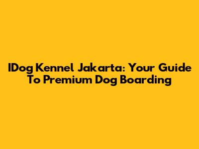 IDog Kennel Jakarta: Your Guide To Premium Dog Boarding