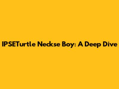 IPSETurtle Neckse Boy: A Deep Dive