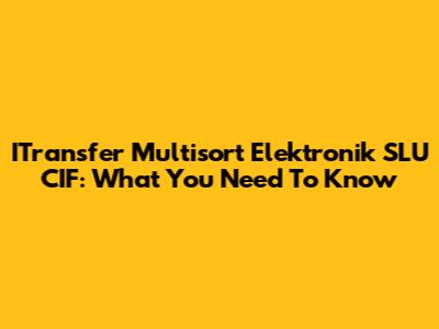 ITransfer Multisort Elektronik SLU CIF: What You Need To Know