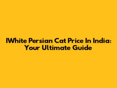 IWhite Persian Cat Price In India: Your Ultimate Guide
