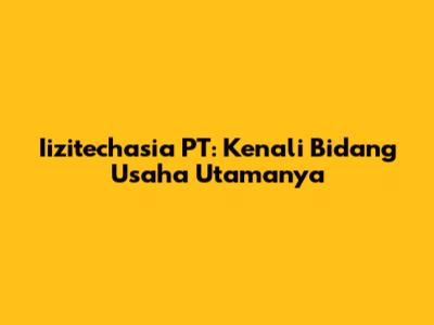 Iizitechasia PT: Kenali Bidang Usaha Utamanya