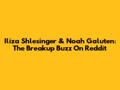Iliza Shlesinger & Noah Galuten: The Breakup Buzz On Reddit