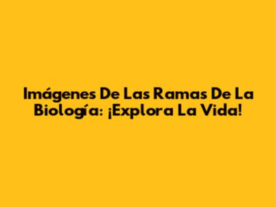 Imágenes De Las Ramas De La Biología: ¡Explora La Vida!