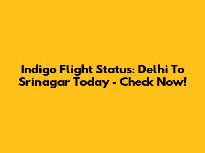Indigo Flight Status: Delhi To Srinagar Today - Check Now!