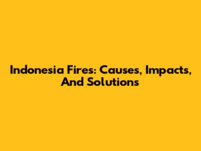 Indonesia Fires: Causes, Impacts, And Solutions
