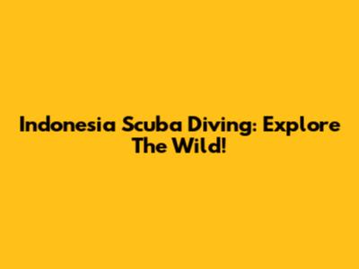 Indonesia Scuba Diving: Explore The Wild!