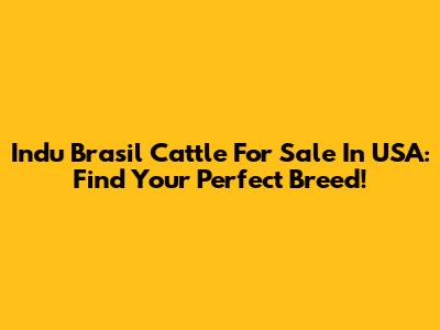 Indu Brasil Cattle For Sale In USA: Find Your Perfect Breed!