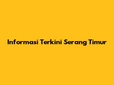 Informasi Terkini Serang Timur