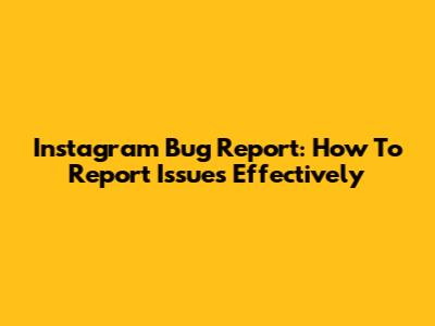 Instagram Bug Report: How To Report Issues Effectively
