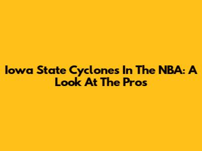 Iowa State Cyclones In The NBA: A Look At The Pros