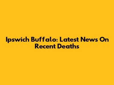 Ipswich Buffalo: Latest News On Recent Deaths