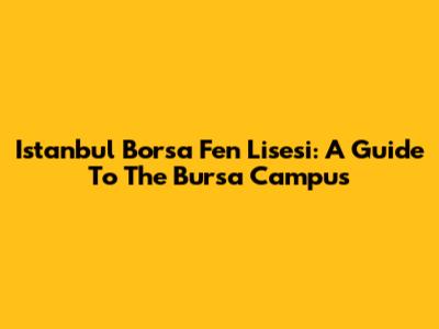 Istanbul Borsa Fen Lisesi: A Guide To The Bursa Campus