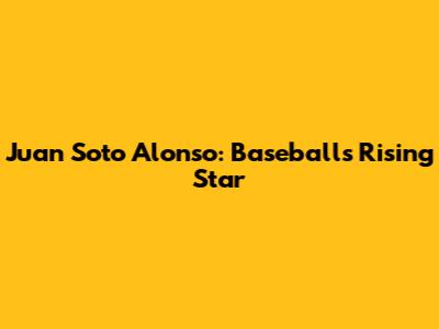 Juan Soto Alonso: Baseball's Rising Star
