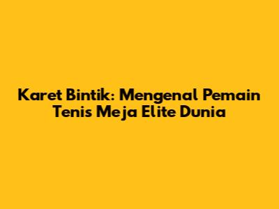 Karet Bintik: Mengenal Pemain Tenis Meja Elite Dunia