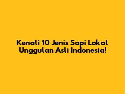 Kenali 10 Jenis Sapi Lokal Unggulan Asli Indonesia!