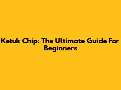 Ketuk Chip: The Ultimate Guide For Beginners