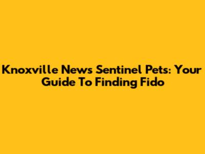 Knoxville News Sentinel Pets: Your Guide To Finding Fido