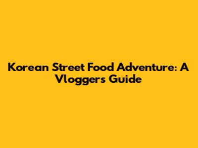 Korean Street Food Adventure: A Vloggers Guide