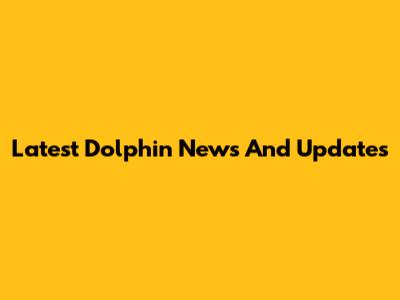 Latest Dolphin News And Updates
